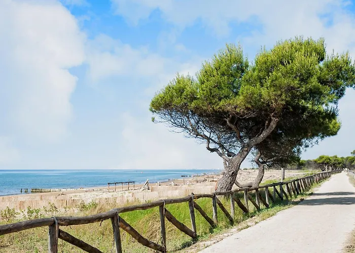 Quiet With Garden * Бибионе